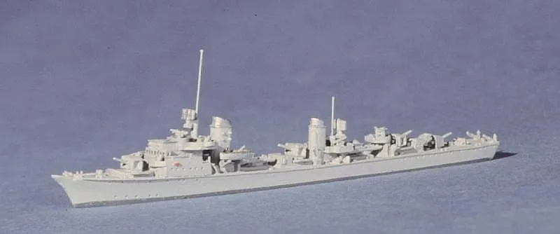 T 31